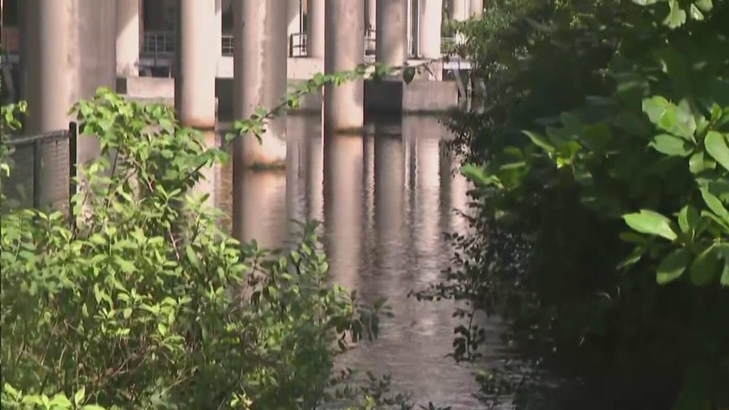 Fort Lauderdale pump station moved over 50 million gallons in September; king tide test looms — CBS Miami, Parkland Community news