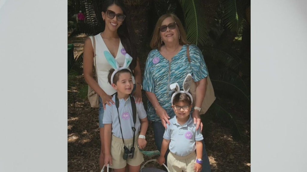 Spanish language could get lost in generations of Hispanic families, experts warn — CBS Miami, Parkland Community news
