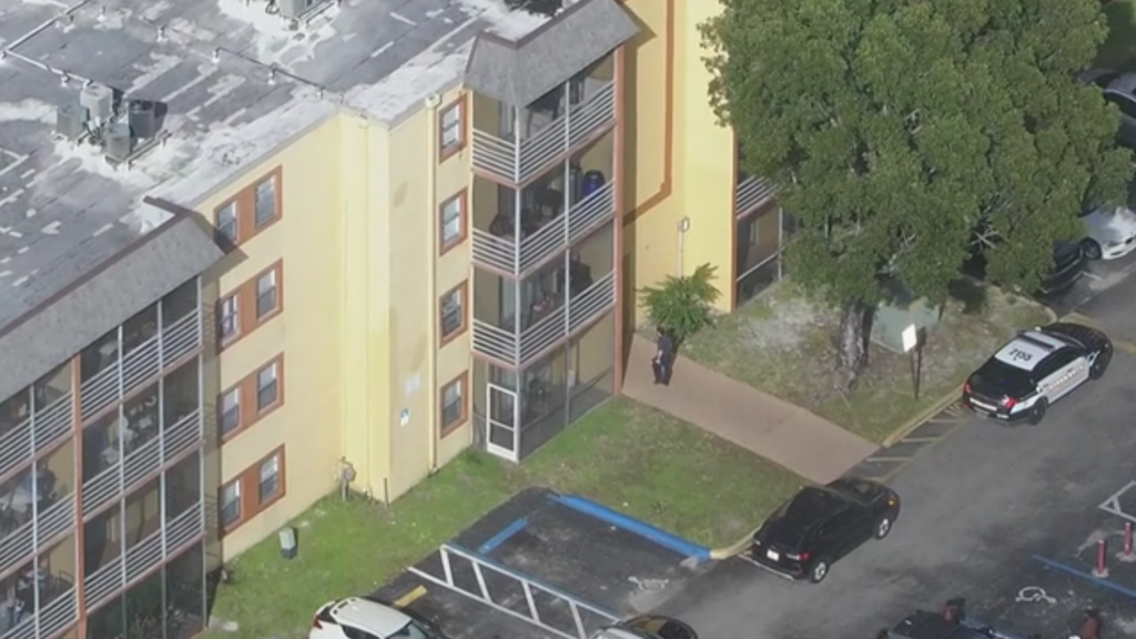 10-year-old girl hospitalized after 8-year-old brother throws knife and hits chest, Lauderhill police say — CBS Miami, Parkland Health news