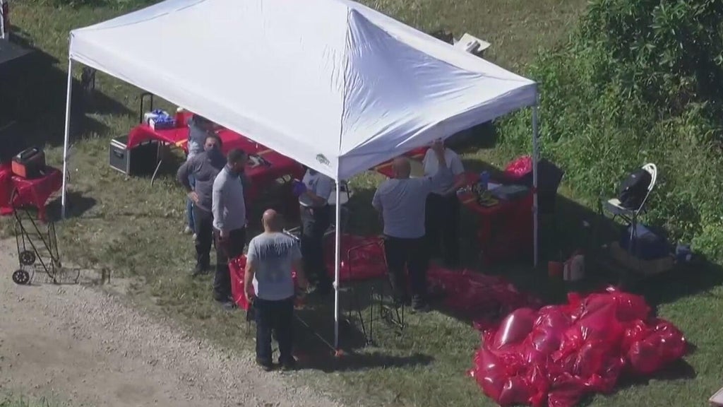 2 men accused of taking part in illegal cockfighting ring, MDSO says — CBS Miami, Parkland Community news