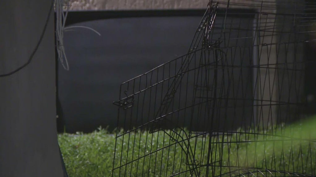 911 call captures frantic report of dog chasing, biting children in Miami — CBS Miami, Parkland Health news