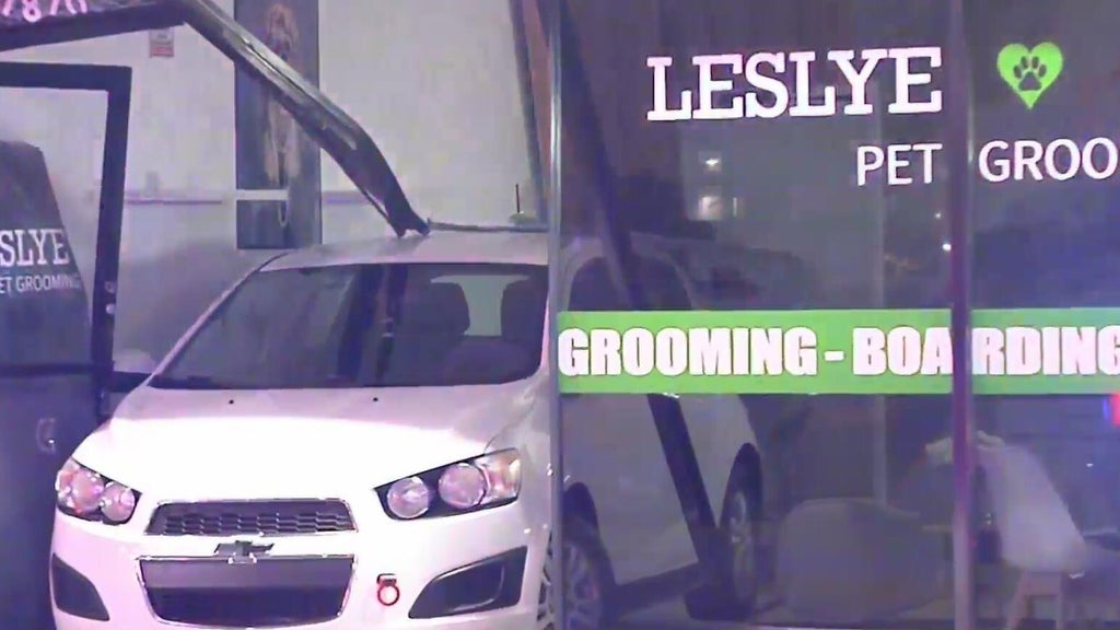 Car crashes into Doral pet grooming shop; no one hurt — CBS Miami, Parkland Business news