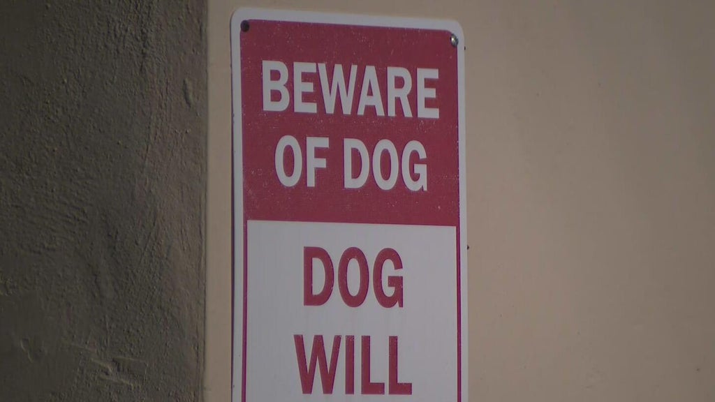 Dog on the loose after attacking a child in northwest Miami-Dade, deputies said — CBS Miami, Parkland Health news