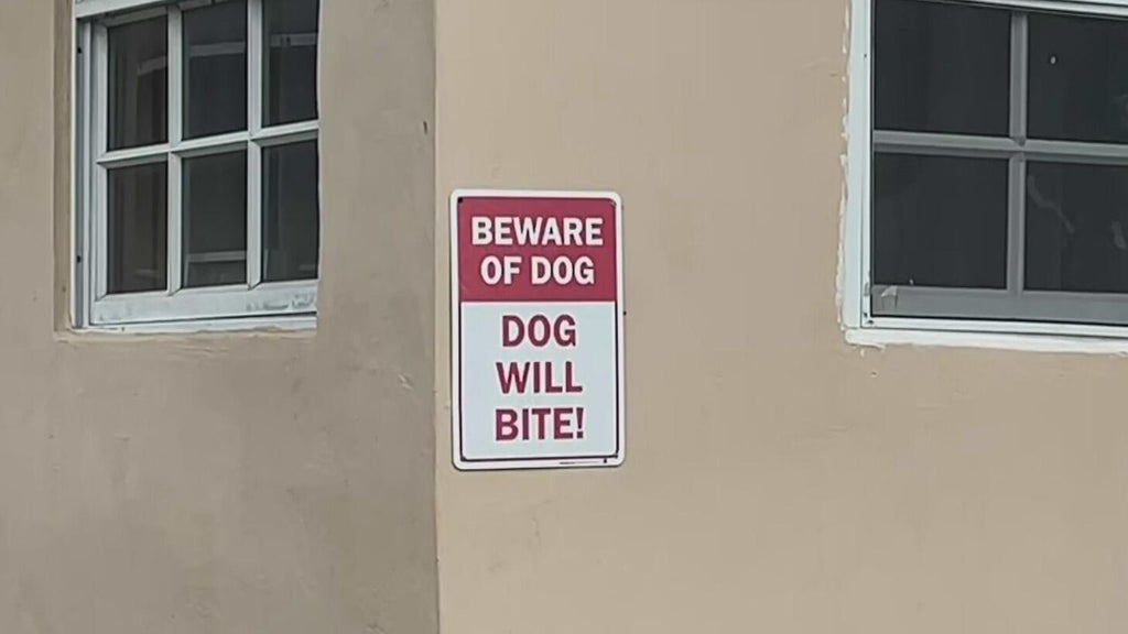 Dog who bit girl in northwest Miami-Dade taken into Animal Services custody — CBS Miami, Parkland Community news