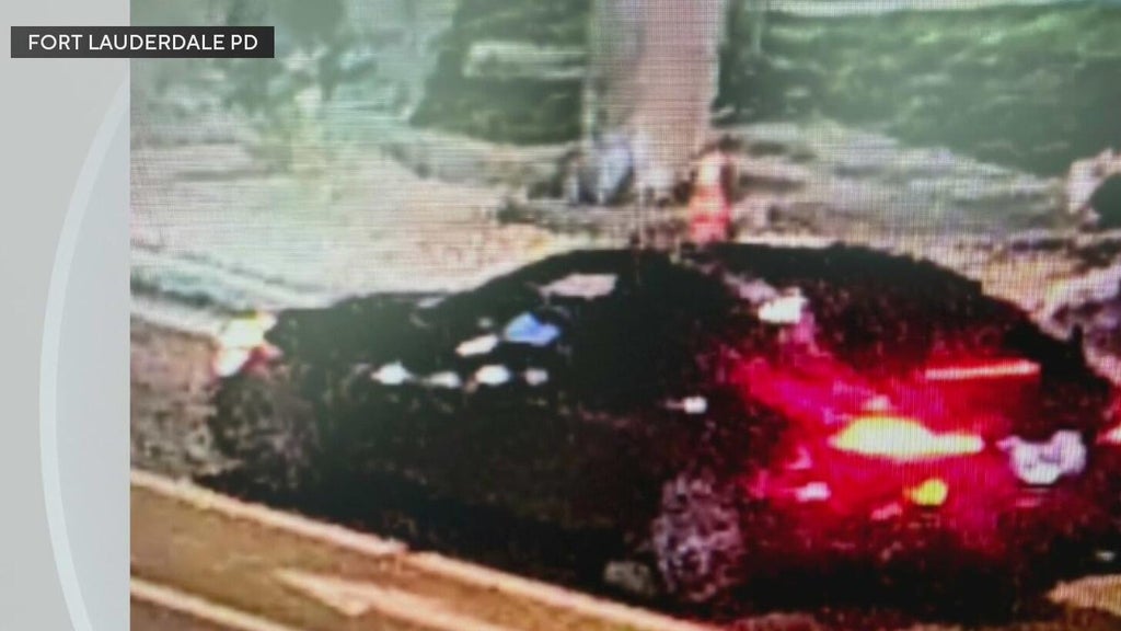 Police seek Mercedes in deadly Fort Lauderdale hit-and-run — CBS Miami, Parkland Community news