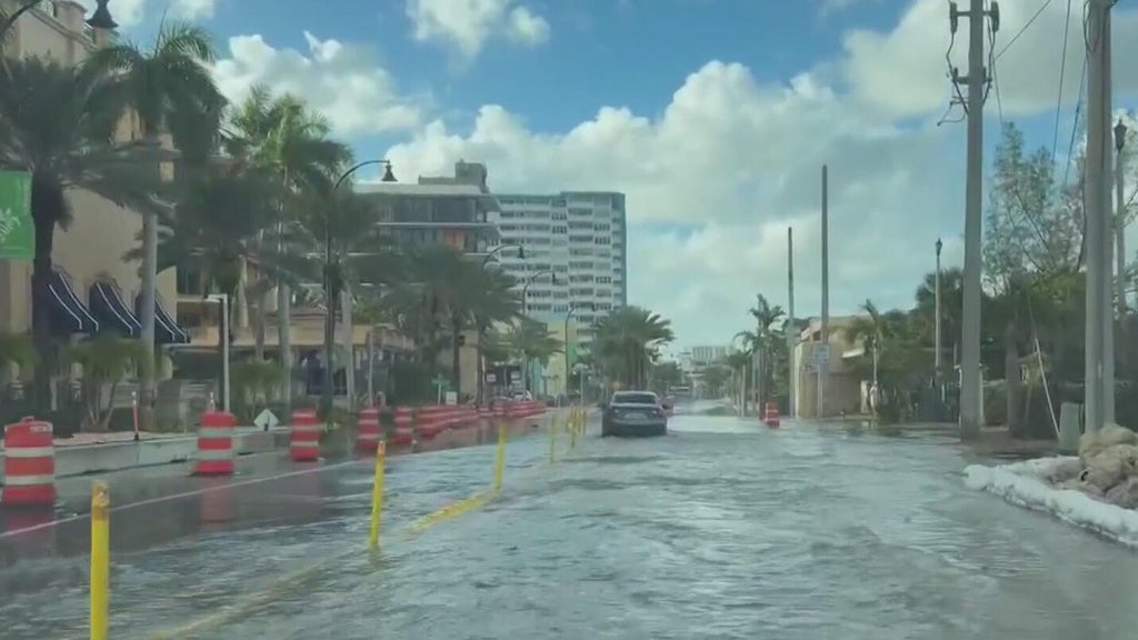 King tide flooding in South Florida has businesses, residents preparing for another onslaught of water — CBS Miami, Parkland Business news