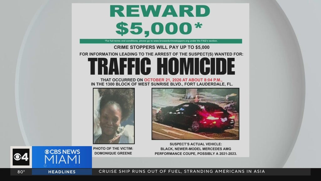 Family of Fort Lauderdale mom killed in hit-and-run pleads for help finding driver — Parkland Community news