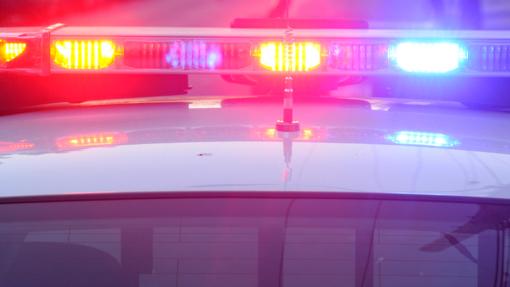Broward man accused of trying to kidnap 13-year-old from Miramar gas station, police say — CBS Miami, Parkland Community news