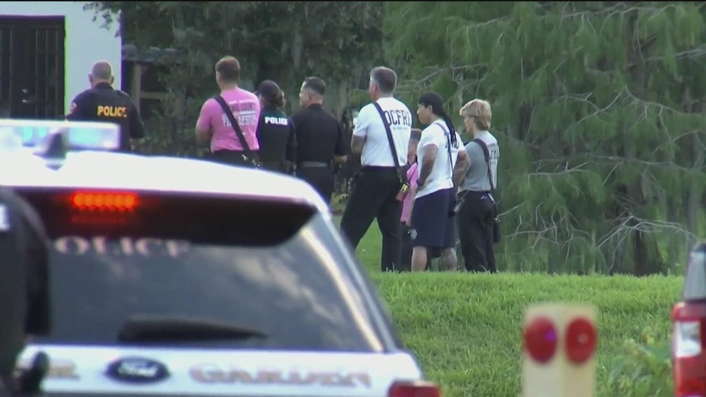 12-foot alligator kills 71-year-old man fishing in Florida lake — CBS Miami, Parkland Community news