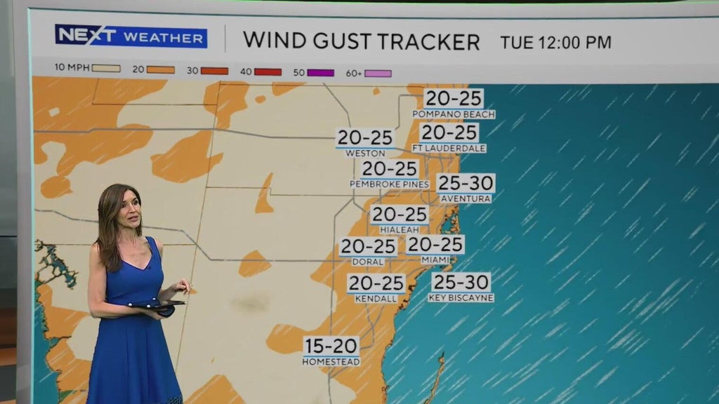 Windy, drier week ahead of taste of fall South Florida style — CBS Miami, Parkland Community news