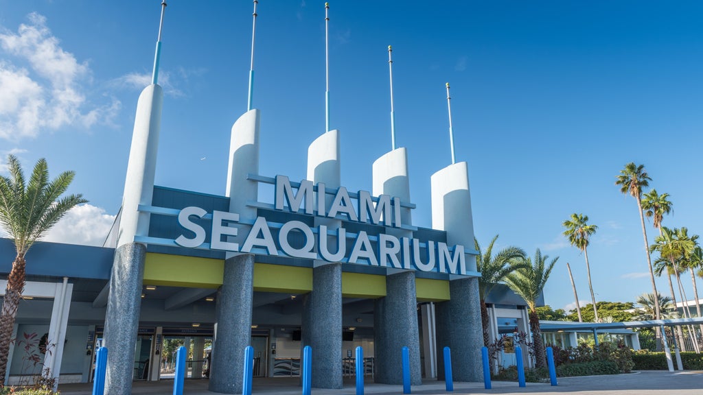 2 Miami-Dade residents sue to require countywide vote on Miami Seaquarium marina development plan — CBS Miami, Parkland Real Estate news