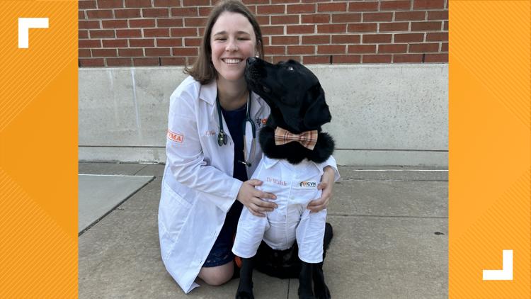 'Dogtor Walsh' reports for duty on the UT campus — KENS 5 (San Antonio), Parkland Schools news