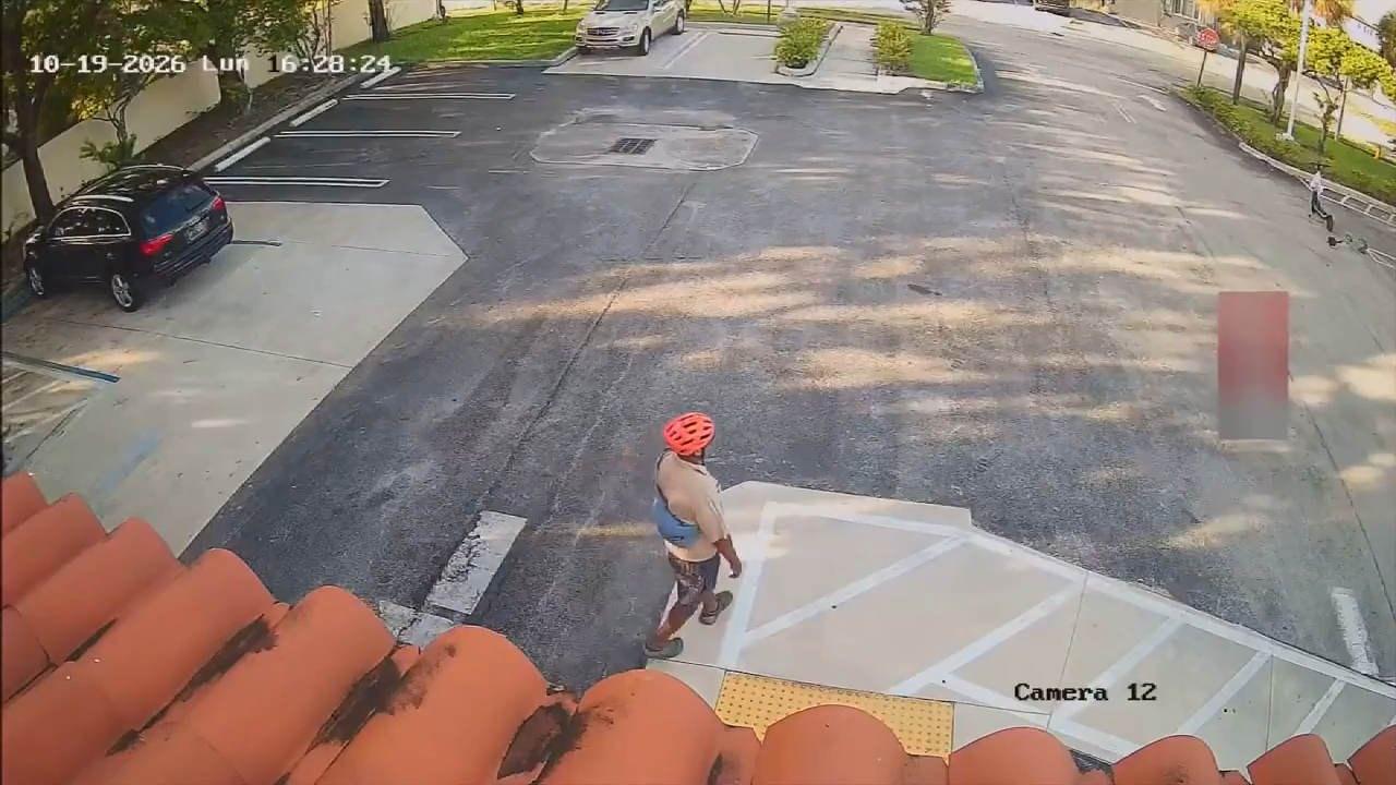 Surveillance footage captures suspect’s failed attempt to kidnap 13-year-old girl at Miramar gas station, police say — WSVN 7 Broward, Parkland Community news