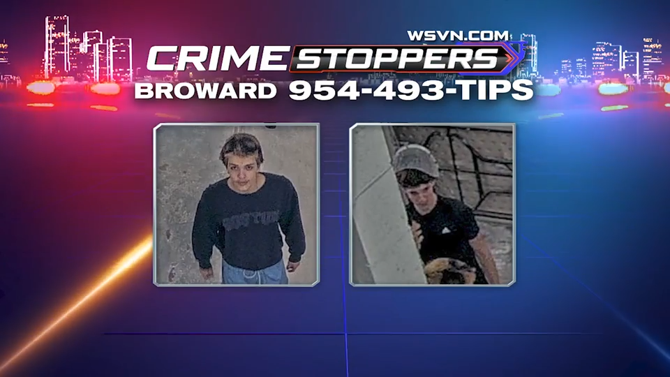 Authorities seek to identify golf cart crooks caught on camera crashing carts at Fiveash water plant — WSVN 7 Broward